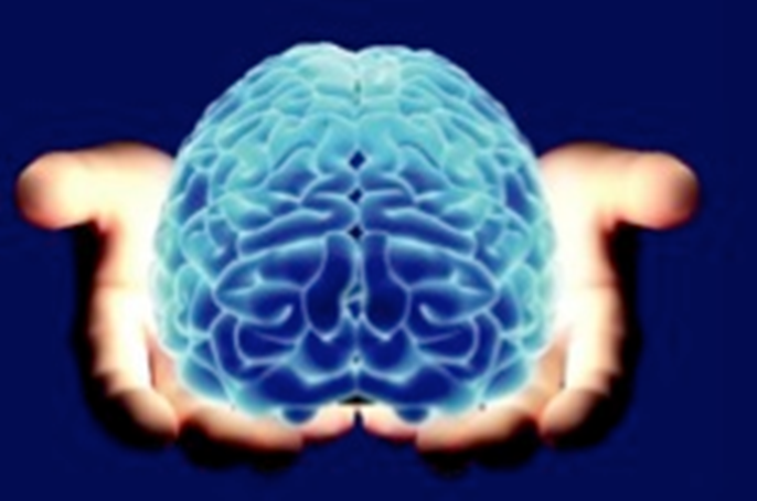 Brain being held in someone's hands